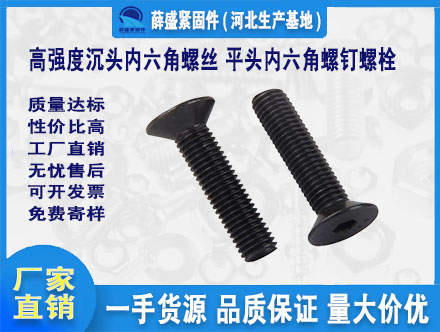 高強(qiáng)度沉頭內(nèi)六角螺絲 平頭內(nèi)六角螺釘螺栓